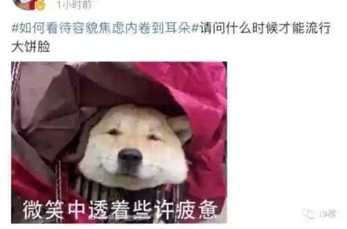 问道手游精灵阵容搭配(问道手游5开队伍最佳阵容推荐)插图26