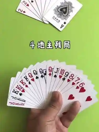 动物之战蜥蜴阵容搭配攻略(剑与远征蜥蜴主C推图阵容)插图41