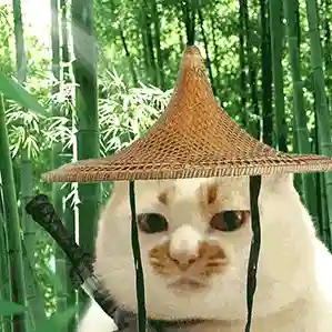 搞笑动态表情包(搞笑GIF图片)插图22