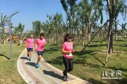 爱跑团最强阵容搭配(奇缘之旅t0阵容)插图2