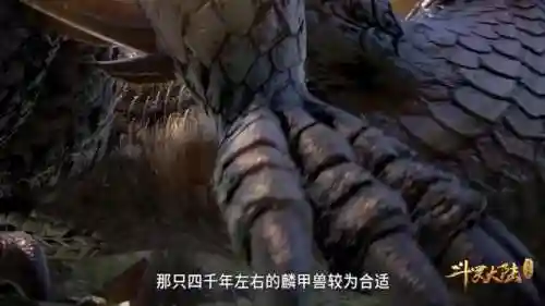 新武魂权杖阵容搭配推荐(斗罗大陆阵容搭配)插图4