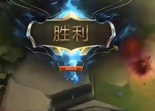 三星小菊阵容搭配(皇菊与什么搭配最好)插图7