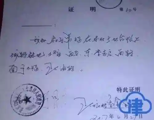 金铲车龙系列阵容搭配(聚峰龙20铲车怎么样)插图5