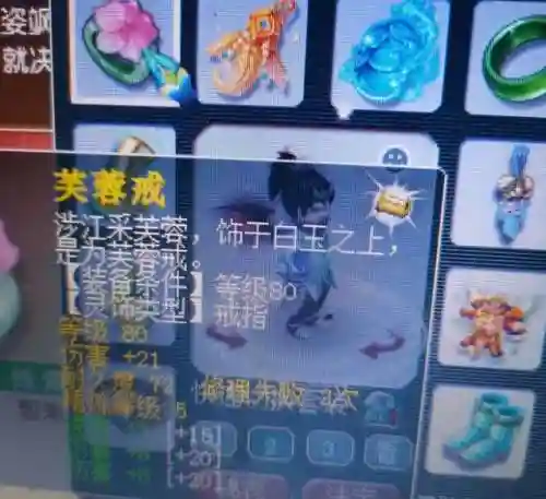 老虎梦幻阵容怎么搭配好(梦幻西游最强伙伴阵容)插图4