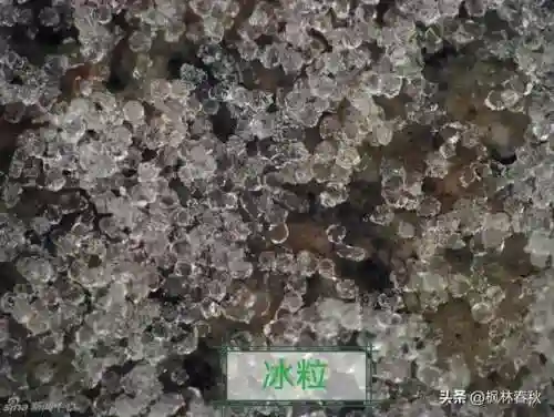 天斗大雪阵容搭配攻略(海边小斗大雪好看视频)插图7