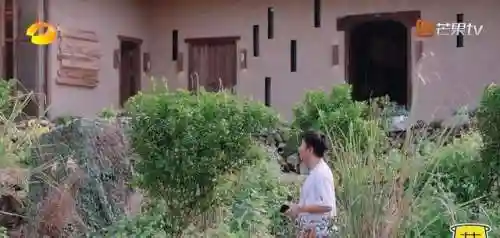 嘉诺之王阵容搭配推荐(圣树之光阵容搭配图片)插图1