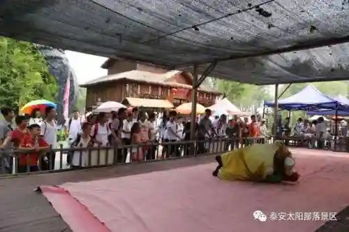 太阳部落鬼屋推荐阵容搭配(部落冲突阵型布置)插图14
