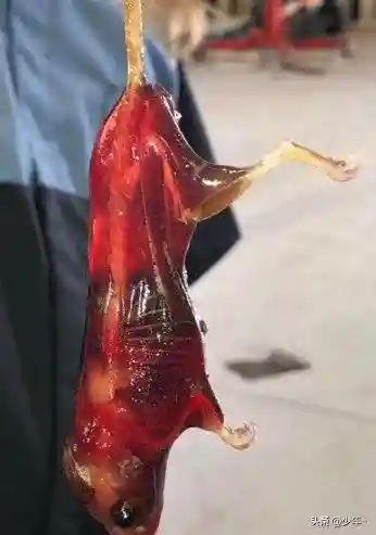 动物之战蜥蜴阵容搭配攻略(剑与远征蜥蜴主C推图阵容)插图32