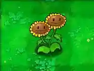 植物大战僵尸最老经典版(最老版植物大战僵尸)插图78