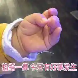 斗图表情包(小黑子专用表情包)插图29