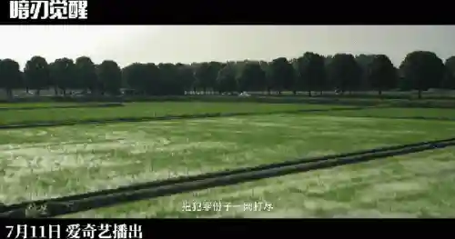 暗刃觉醒阵容搭配图(英魂之刃口袋版自走棋最强阵容)插图7