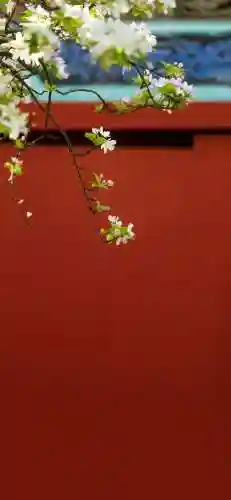 壁纸2023最新壁纸(屏幕图片壁纸)插图7