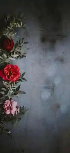 手机背景壁纸(2024手机桌面壁纸)插图18