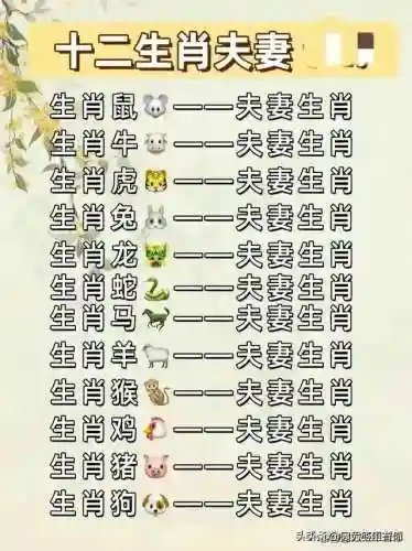 幻影忍者秘籍搭配阵容推荐(幻影忍者boss最简单打法)