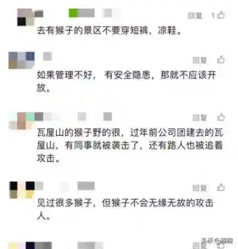 王者荣耀猴子冲突阵容搭配(王者荣耀猴子怎么出装伤害最高)