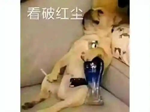 剑灵辅助工具(剑侠传奇脚本辅助)插图1