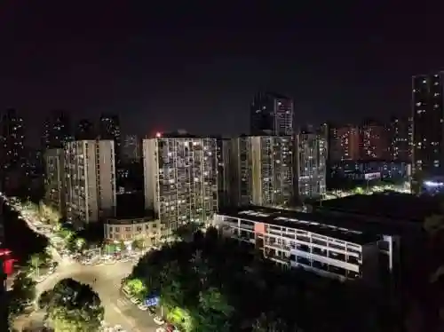 双域传说阵容搭配推荐(永恒仙域阵容搭配)插图17
