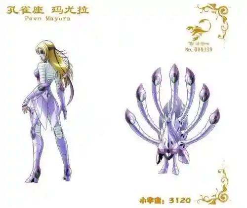 孔雀座娑爻阵容搭配(孔雀明王阵容推荐最新)插图4