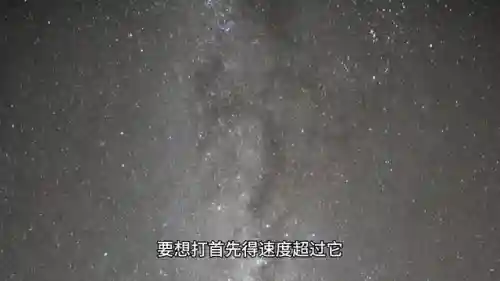 克制狼王的阵容搭配(狼的克星)