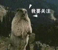 王者峡谷矮子阵容搭配最新(2021王者荣耀最佳阵容)插图6