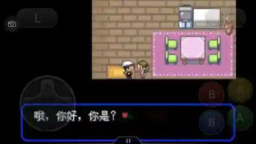 神奇宝贝究极绿宝石攻略(神奇宝贝第一部免费)插图82