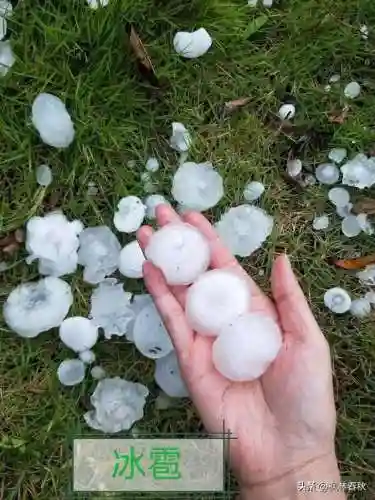天斗大雪阵容搭配攻略(海边小斗大雪好看视频)插图6