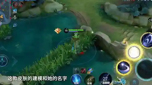 鸡年限定皮肤有哪些(蔚鸡年限定皮肤叫什么)插图8