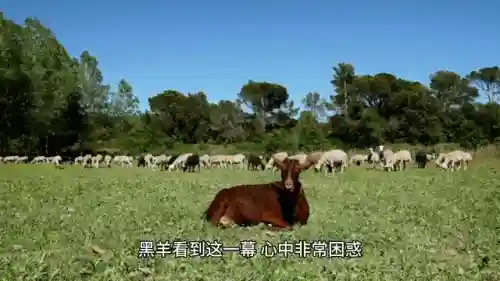 三只小羊回家3(送小羊回家游戏手机版)插图3