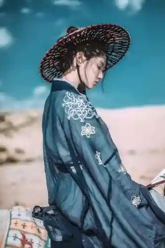 玉女灵犀剑法搭配阵容最新(御剑情缘霓裳随从最佳阵法组合)