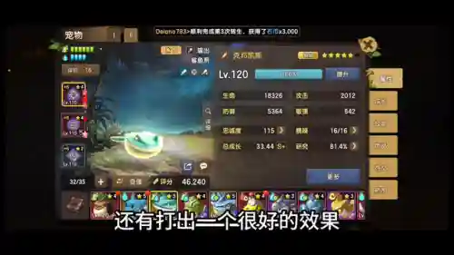 鲨鱼和熊搭配什么阵容好(飞熊军适合什么阵容)插图2