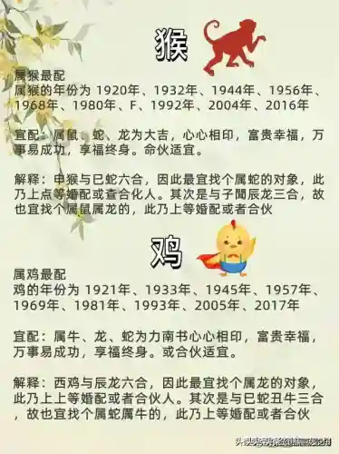 命运传说阵容搭配攻略图(命运战歌最强阵容搭配)插图4