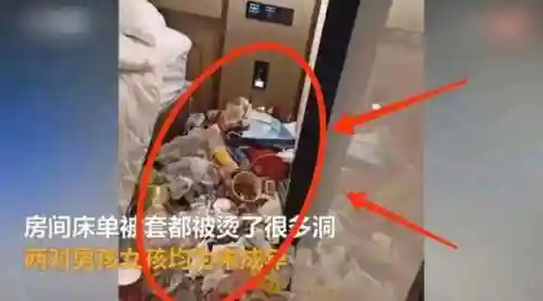 神翼天堂最强阵容搭配攻略(千鸟飞绝最强阵容推荐)