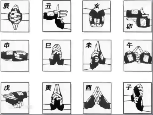 忍者结印大师推荐阵容搭配(忍者百分百最壕阵容)插图1
