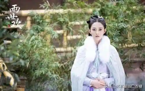 宫廷斗篷搭配阵容推荐女(宫廷计后期尚药最强阵容)插图24