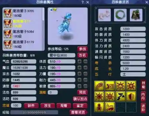 功夫宠物推荐阵容搭配攻略(动物之战最强阵容搭配攻略)插图6