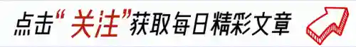 亮剑前期阵容搭配最新(亮剑游戏最强阵容六个英雄)