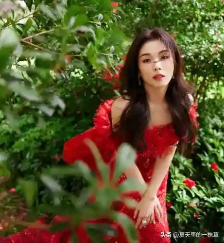 凤凰烈焰阵容搭配图最新(斗罗大陆火凤凰阵容搭配)插图1