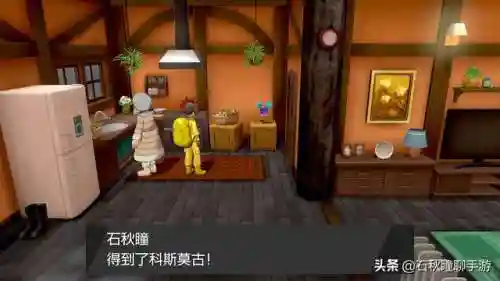 剑盾雪原最强阵容搭配(宝可梦剑盾最佳阵容)插图14