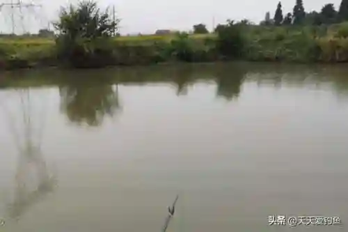 一浅二深三大叫什么(一女不过三精什么意思)插图3 一浅二深三大叫什么(一女不过三精什么意思)插图3