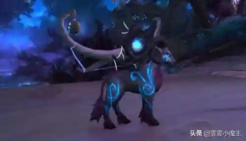 魔兽世界宠物推荐(wow70猎人必抓五只宠物)
