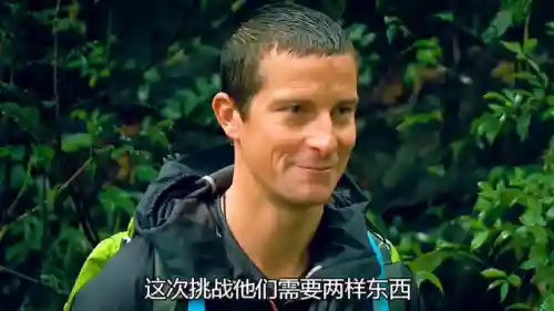 荒野求生全明星搭配阵容(荒岛求生中哪个伙伴最强)插图1