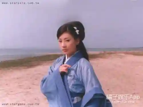 卫子夫演员阵容搭配图(卫子夫容貌复原图)插图4 卫子夫演员阵容搭配图(卫子夫容貌复原图)插图4