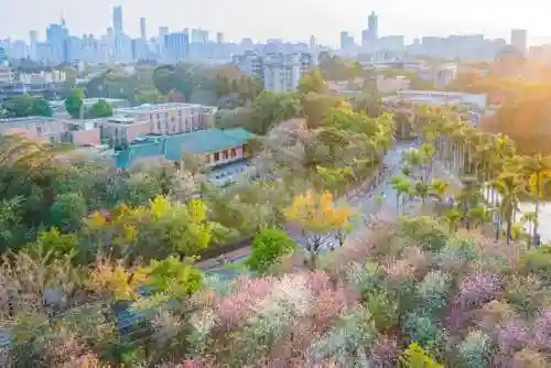 男魔法师转职哪个好2021(地下城与勇士男魔法师转职什么好)插图2