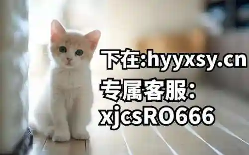 满攻速高爆率传奇(自动拾取自动回收免费传奇)插图4