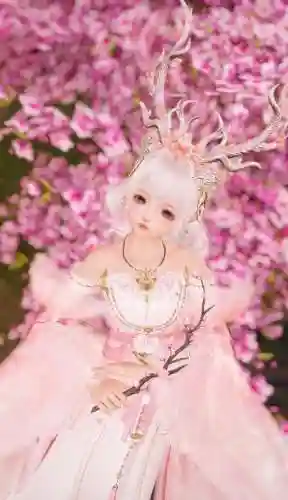 剑网三捏脸数据女(剑网3捏脸数据打包分享)