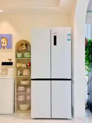 冰箱什么品牌最好排名前十名(国产冰箱十大品牌排行榜)插图7