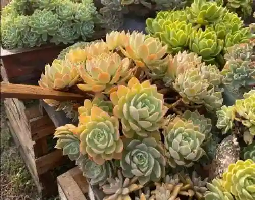 人人通教育平台登录入口(人人通平台app下载安装)插图2