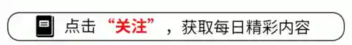 闪烁之光光搭阵容搭配(闪烁之光适合平民的四大最强阵容)