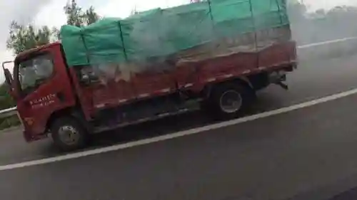 斗子哥顶配阵容搭配(决斗大师阵容搭配)插图20 斗子哥顶配阵容搭配(决斗大师阵容搭配)插图20
