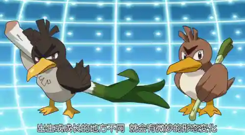新旅途小智的阵容搭配(云顶之弈s10最强阵容搭配)插图2